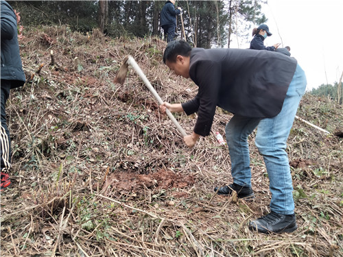 爱游戏官方网页版_爱游戏(中国)
植树节