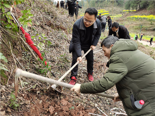 爱游戏官方网页版_爱游戏(中国)
植树节
