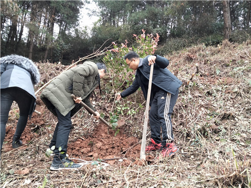 爱游戏官方网页版_爱游戏(中国)
植树节