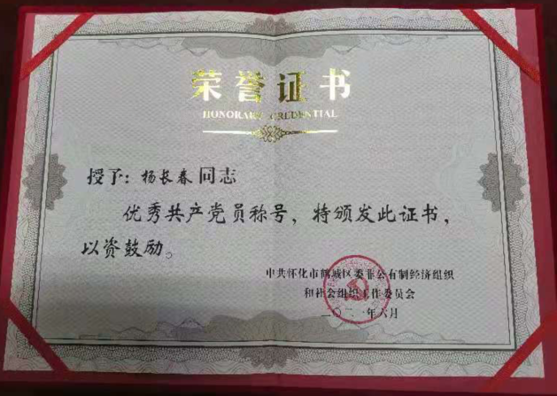 爱游戏官方网页版_爱游戏(中国)
党支部 杨长春
